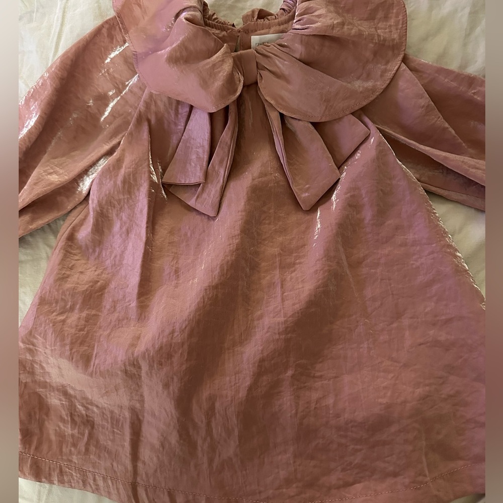 Zara dress